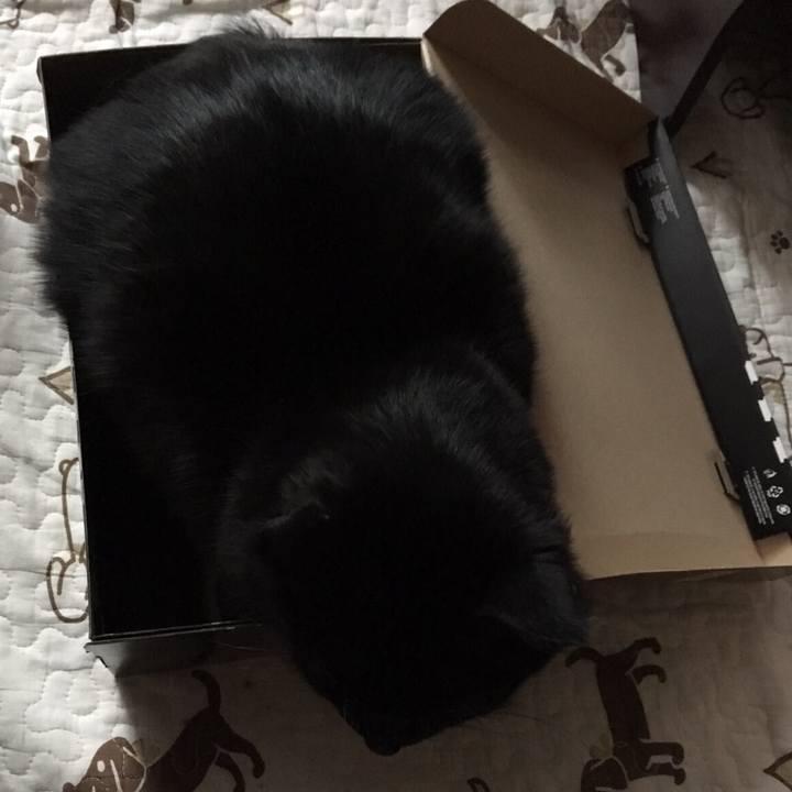 F82dd642 0672 4898 be31 65c287989ab2