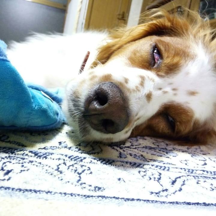 F82deedd baae 4cf6 9106 31265c05b798