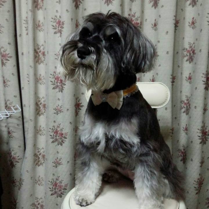 F82e3240 7cf2 4ff8 9015 2fc9887fa7d9