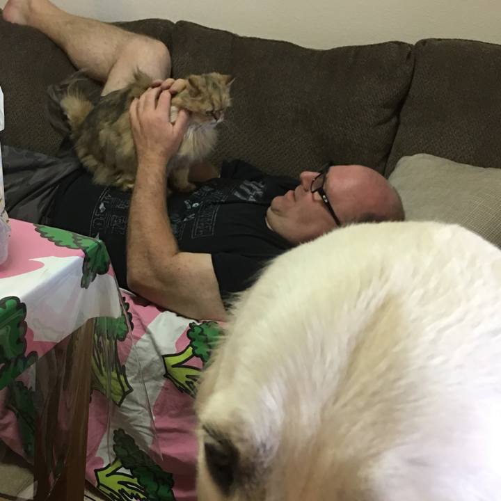 F82f57f3 ed02 43f2 979e d0df126a5f6c