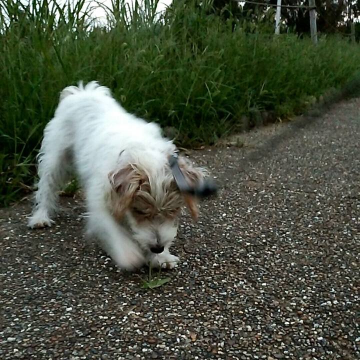 F82fb64a 34fd 4e81 b626 50b1b9c6f4b6