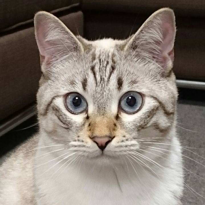 F82fedb6 8b06 4da2 96f0 f3abdc86e6f7