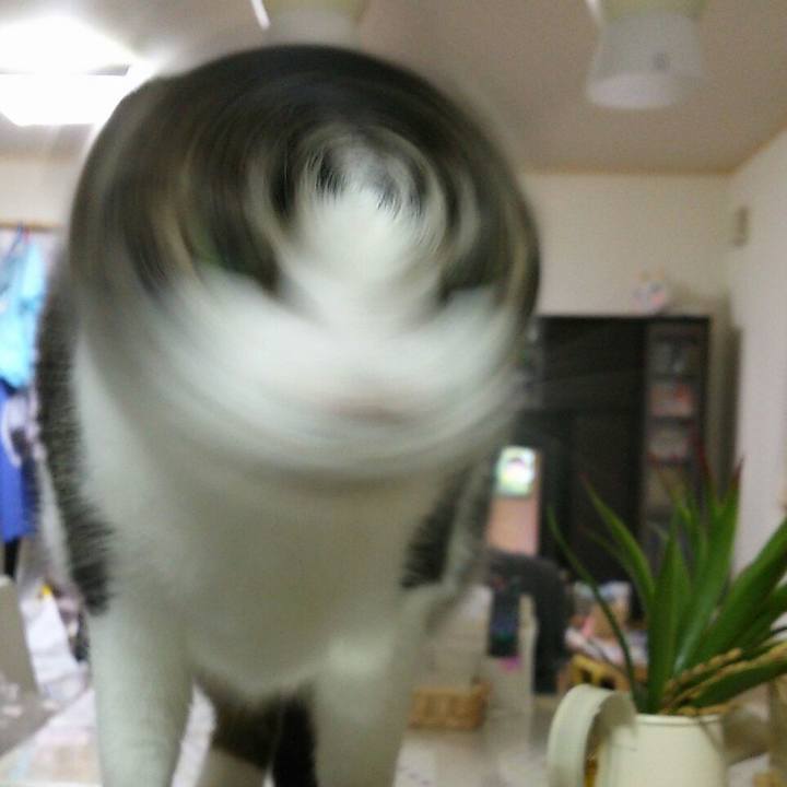 F8300436 0932 47ae a0c9 3c161e0877d7