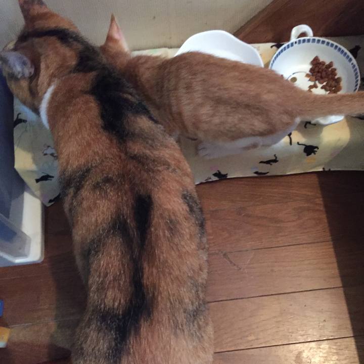 F8301973 80ab 4565 9f2c ef96ec3edbdc