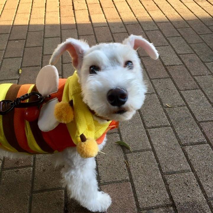 F8302220 a84f 4bc0 9e3e 9b1829c083e5