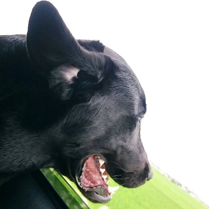 F831670b 6475 4c07 97d9 d9f36ba3e7ba