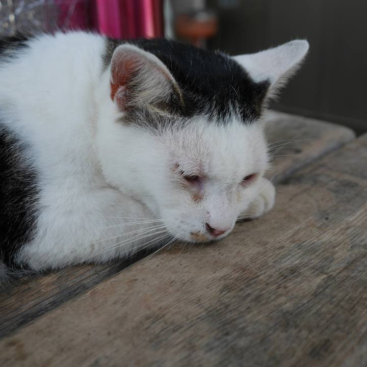 F8318e80 b912 4dae a881 e320b5f02e40