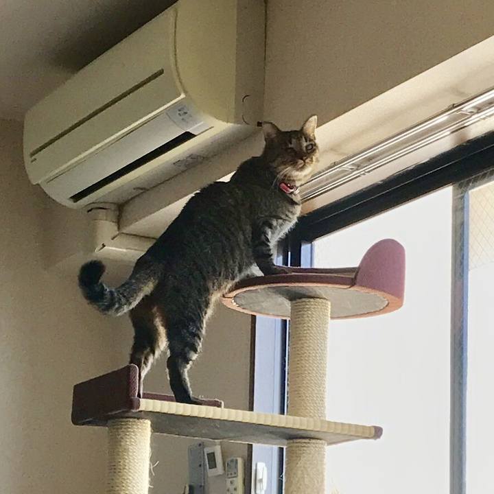 F8327cff cf17 4f6b b1e0 7f2ceff228c2