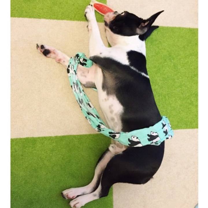 F832ccd9 c10f 4c50 834b 99e48a3daca5