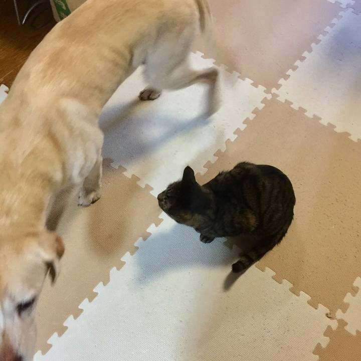 F832e0bd a5d3 4b54 bf09 9d3c48ff923f