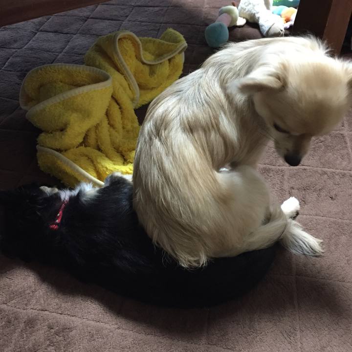 F8342e6b 4bd5 41b8 aff3 1939a78a2de8