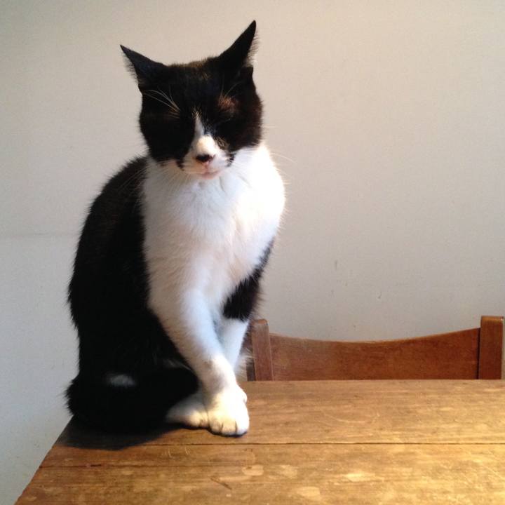 F8345325 649d 45f9 8534 0512184a5064