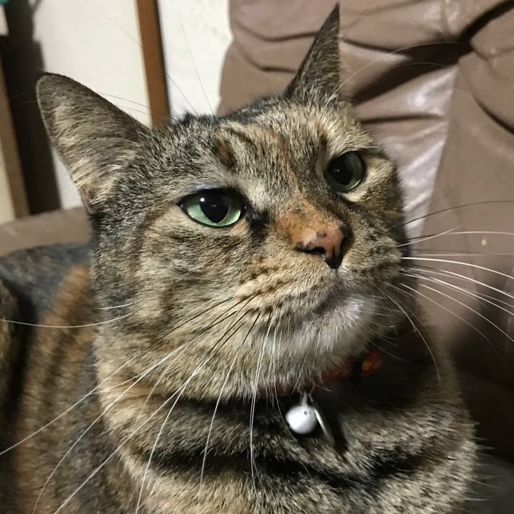 F8347f81 9c2b 4122 a8a3 9930cc891e9a