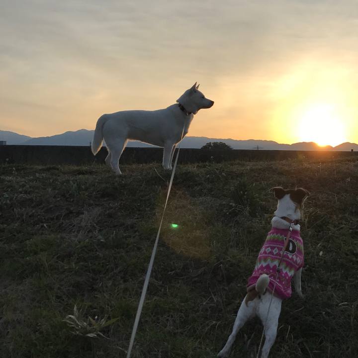 F834c648 8c4b 42e3 88ad 7372a6afeb4d