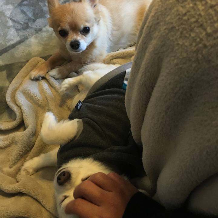 F83527e0 140c 4e11 8690 c37d213b6018