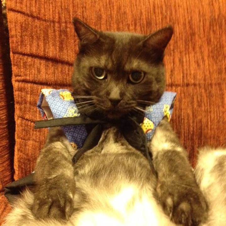 F836953e c906 4b46 bc05 06b008d1d078