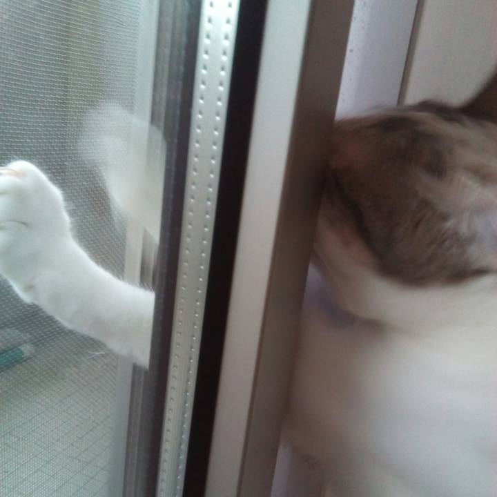 F837c8c8 eb30 49a6 a7a2 b374dcf69aa4