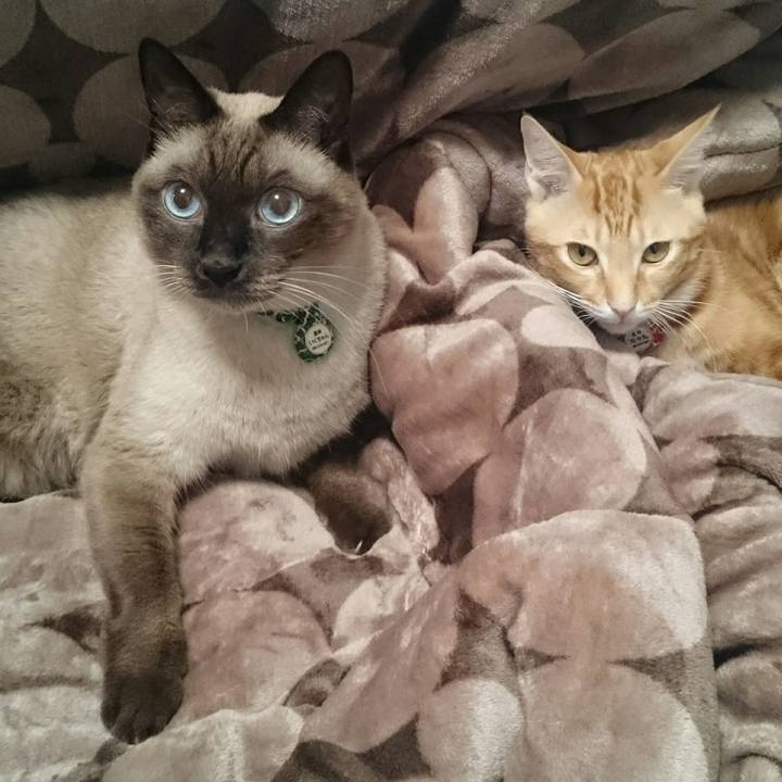 F837f1b4 134b 4149 bfef 4afb4cbf7d92