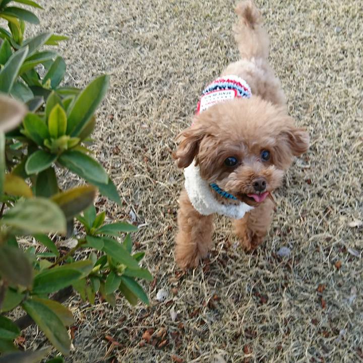 F8382811 315e 440e b01c 3c3bb15b6288