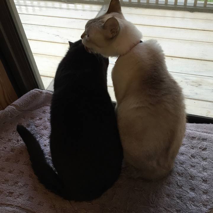 F8392ef9 db73 42e0 931d 3733267a12b0