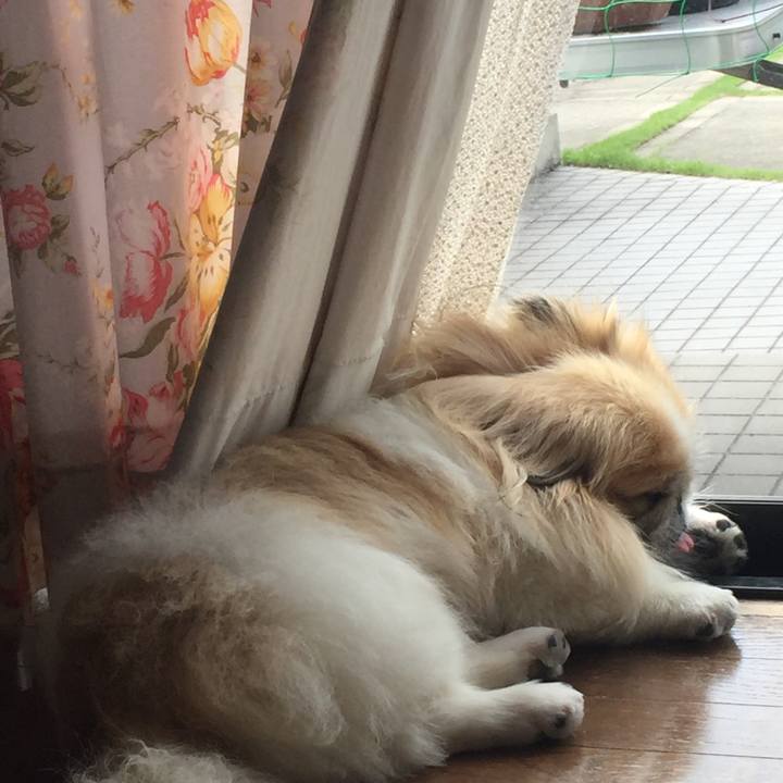 F83a5199 9669 488c 9033 9a2b63bd8ae0