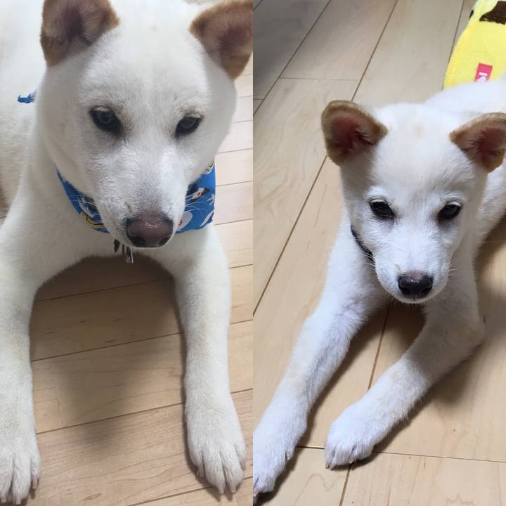 F83b4e62 95a9 4c0b 8bbc 64518b210fca