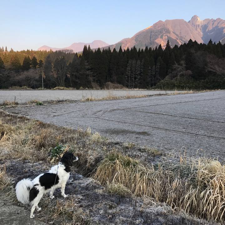 F83b70f4 a253 426d 9fdb 63e2222cf7c6