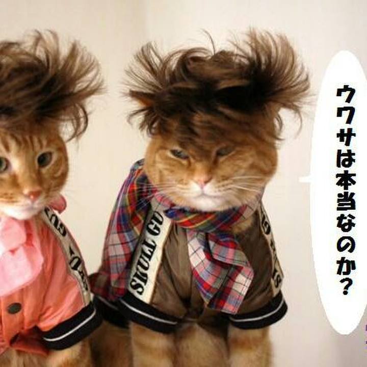 F83c8ee4 cf62 4b87 952d 43cd1b9217e9