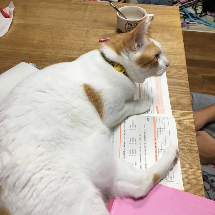 F83d64b2 ac1f 4d56 8a90 16aaaf3ce916