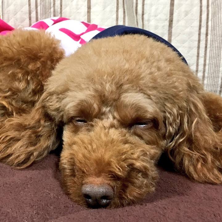 F83e6884 0b2b 44f7 837f 5d5748620338