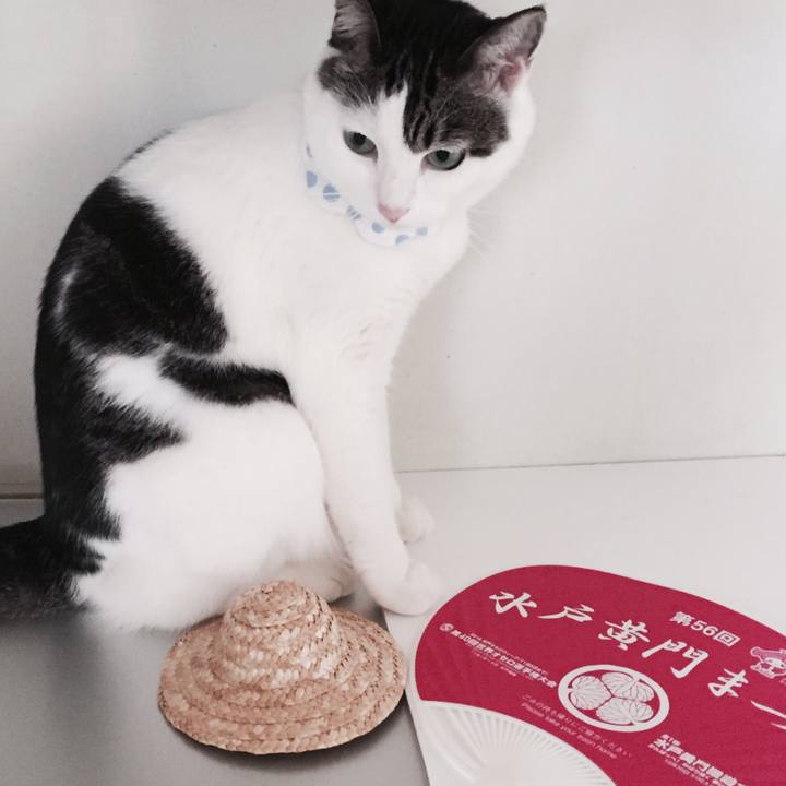 F83f07c0 4453 450d 9397 8aeb2a804e87