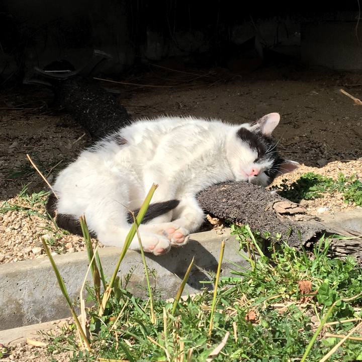 F83ff71f 7754 4a66 a374 ae0ff3e6e6d1