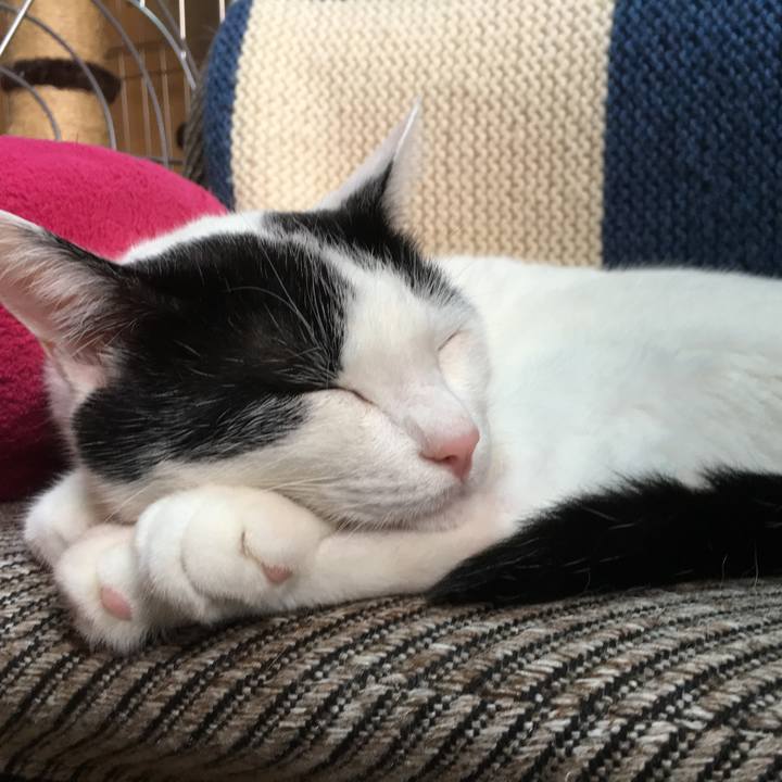 F84039fe 6aa3 4447 af61 a7d9ec604c77