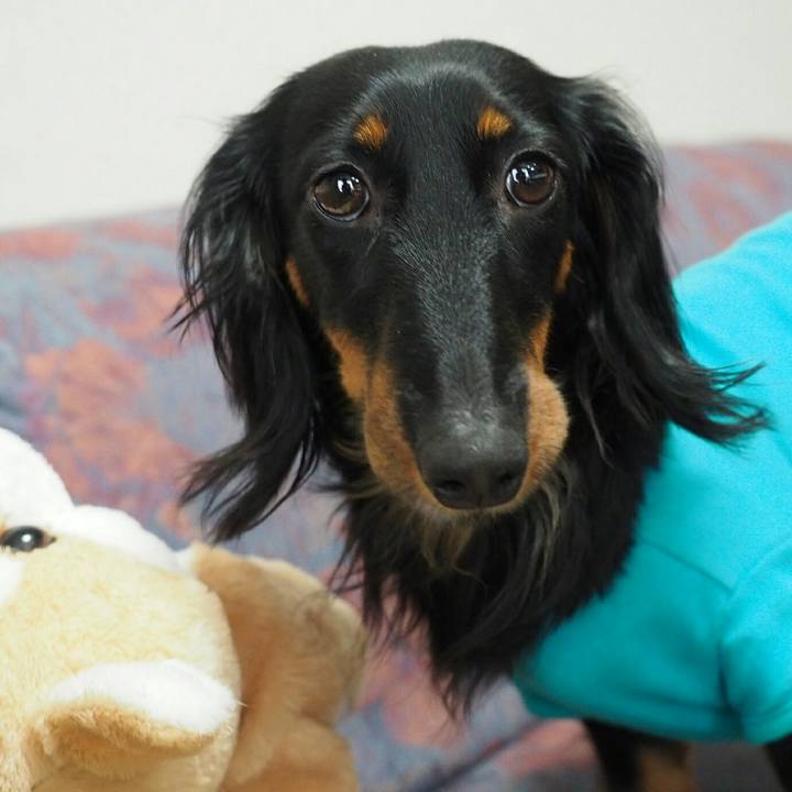 F8406610 a3fe 469e 84d5 c42b834686f4