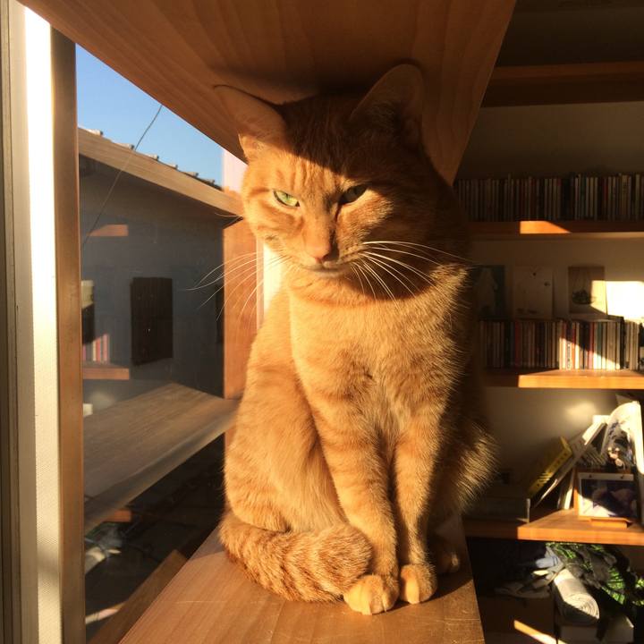 F84070a9 12b2 4520 aee2 820d329d9f84