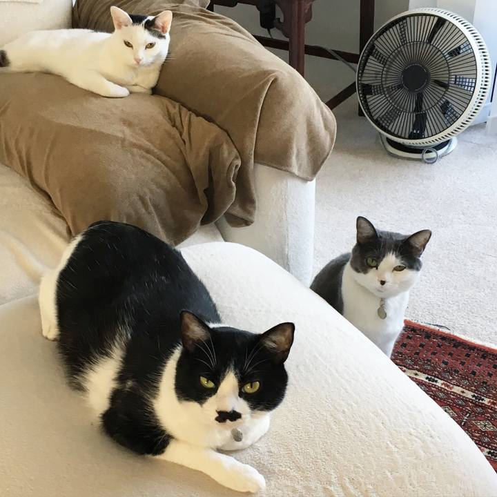 F8408e43 8b25 4ba0 a269 bf2cbaa2079b