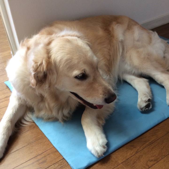 F8414470 012c 4bbc a51a 4df37cf86cc0