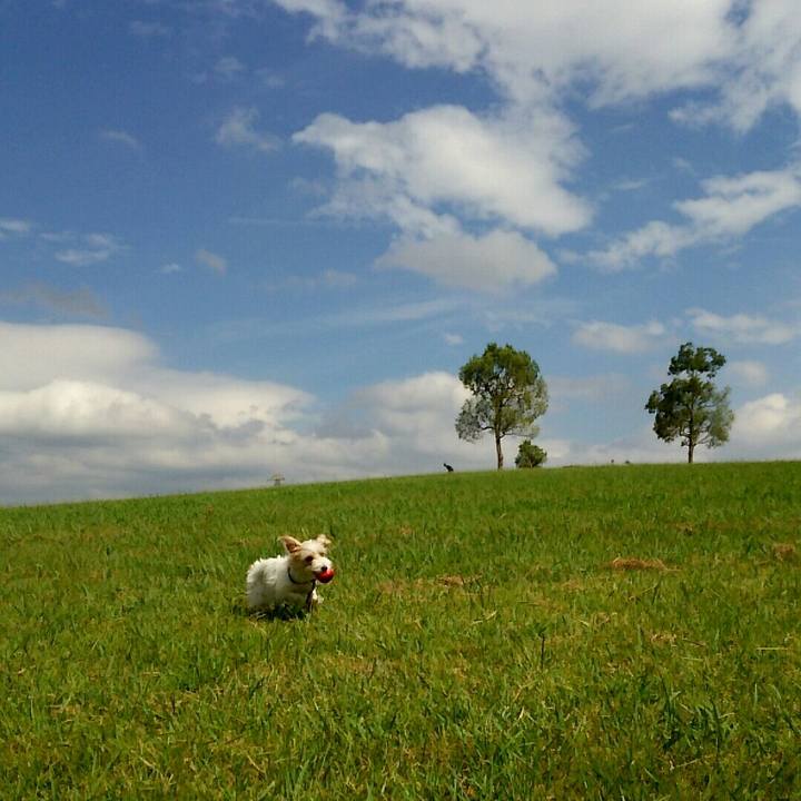 F8415b94 9e9e 47a0 a8ac b91bd1229e0d