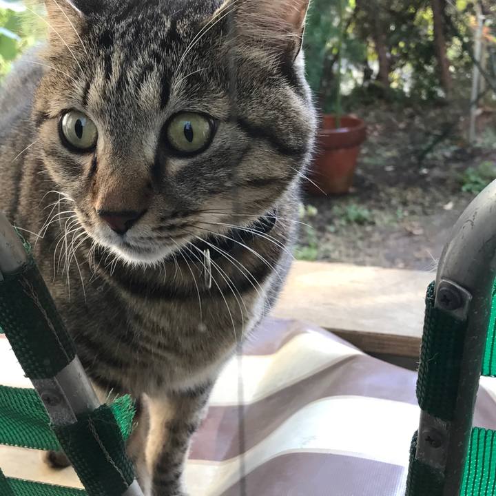 F841f0dd b892 46e9 bf5a 63b2e4b85946