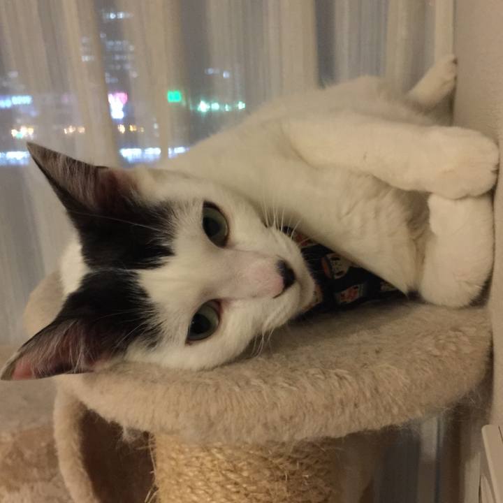 F842487b e791 4273 b504 4db94569ab3b