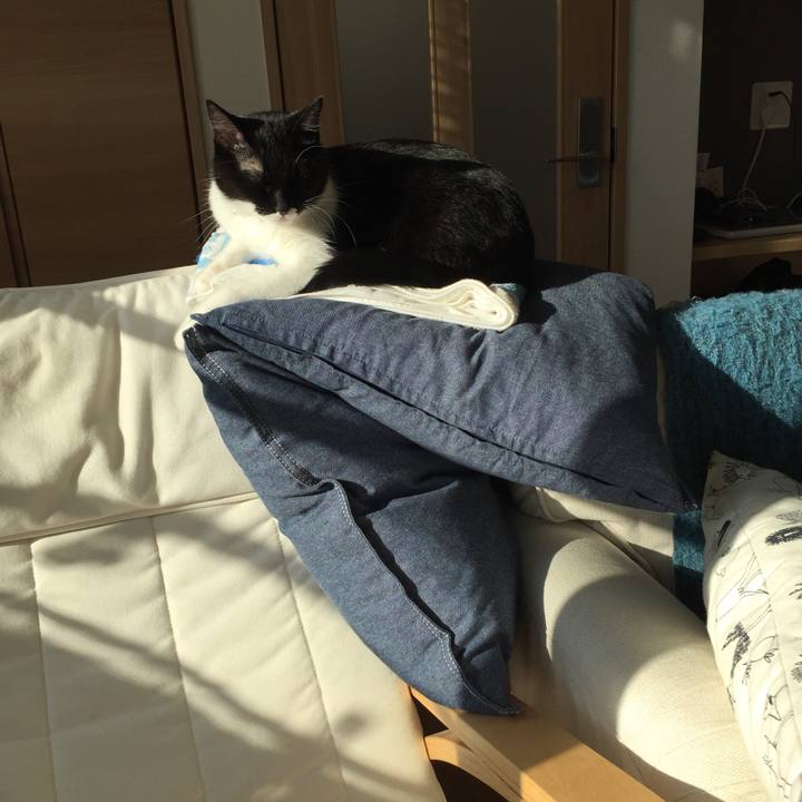 F8427436 956f 4c2d 95b6 52bf39f54a07