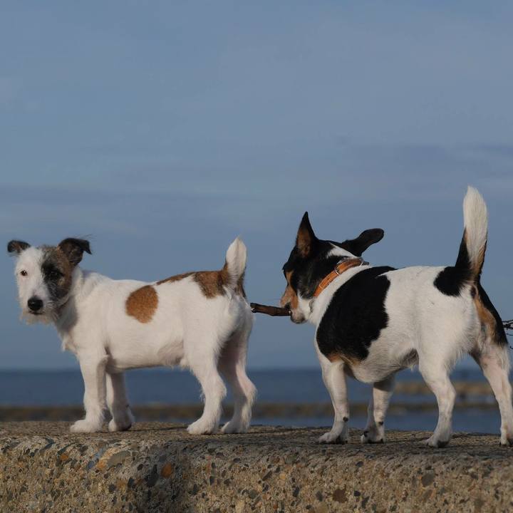 F842825b 1cd4 44fc a524 6104d62b1bff