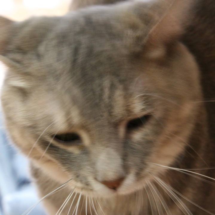 F8429e60 1f33 4665 9a52 a3ec4ef6fcf2