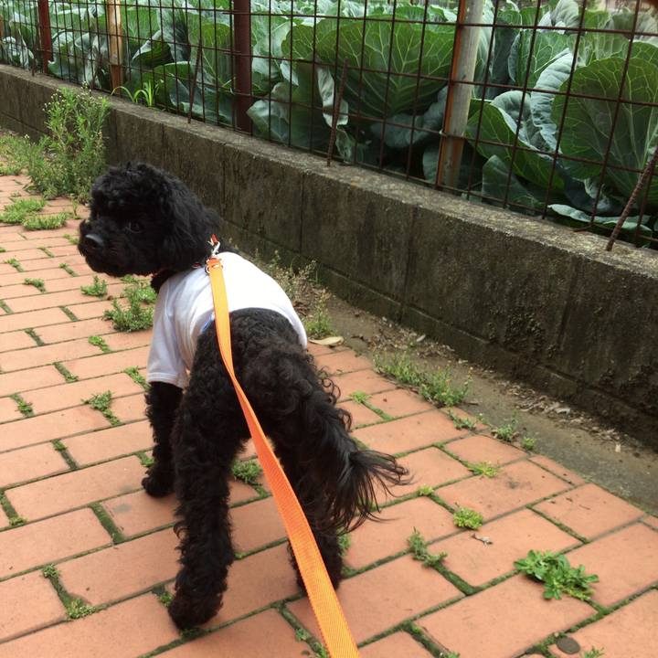 F842d34b b3ca 42f7 b5c1 fde3ef4405b6