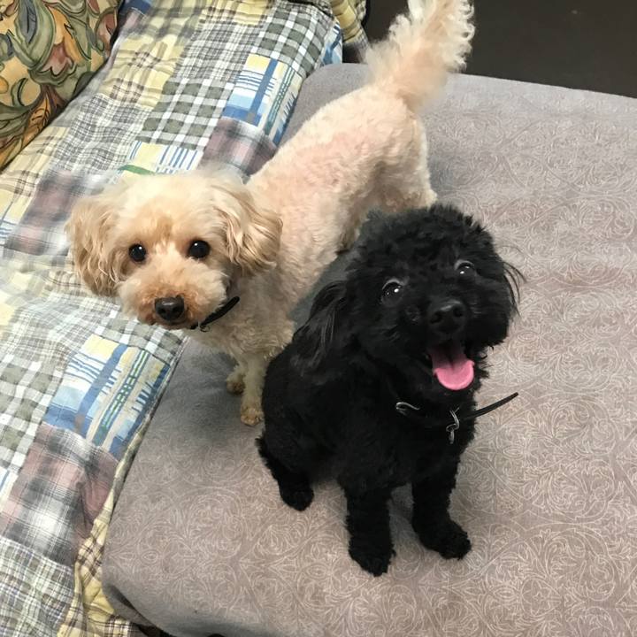 F8433e03 3306 4574 804d 19e377e54b94