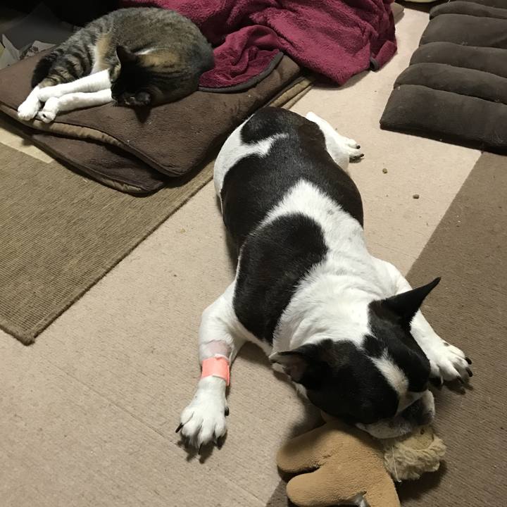 F84444a3 5e3e 474c bc41 3805e9a40636