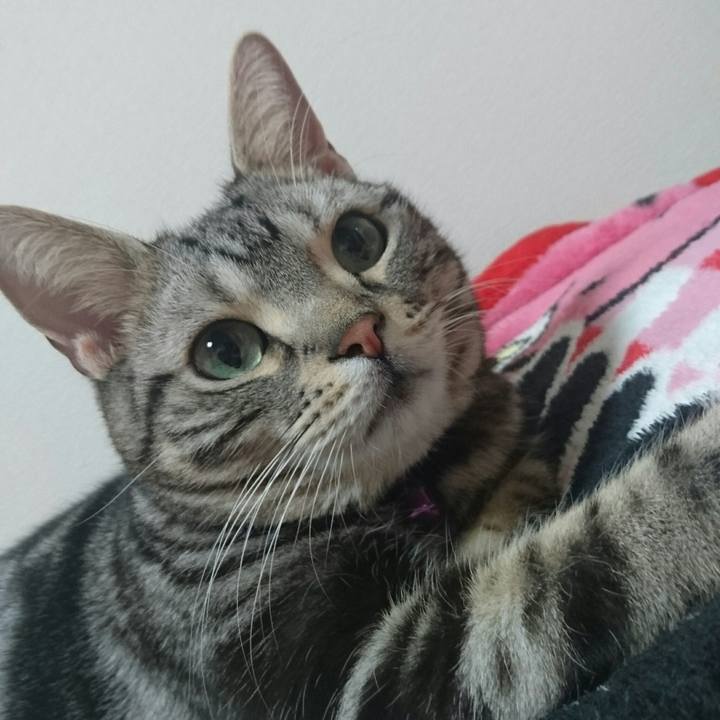 F844c737 2c2f 43f8 8caf 1c1d574e7c20