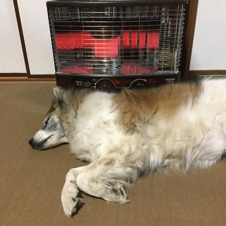 F8450261 103f 4f2f a245 a1ef8d32033d