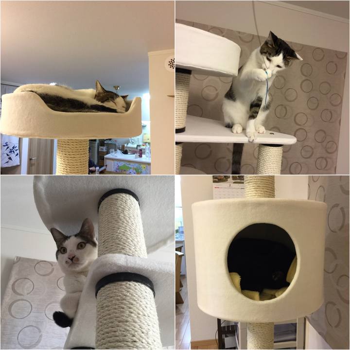 F8452d57 6492 4188 a1e2 9f2e6c8701a4