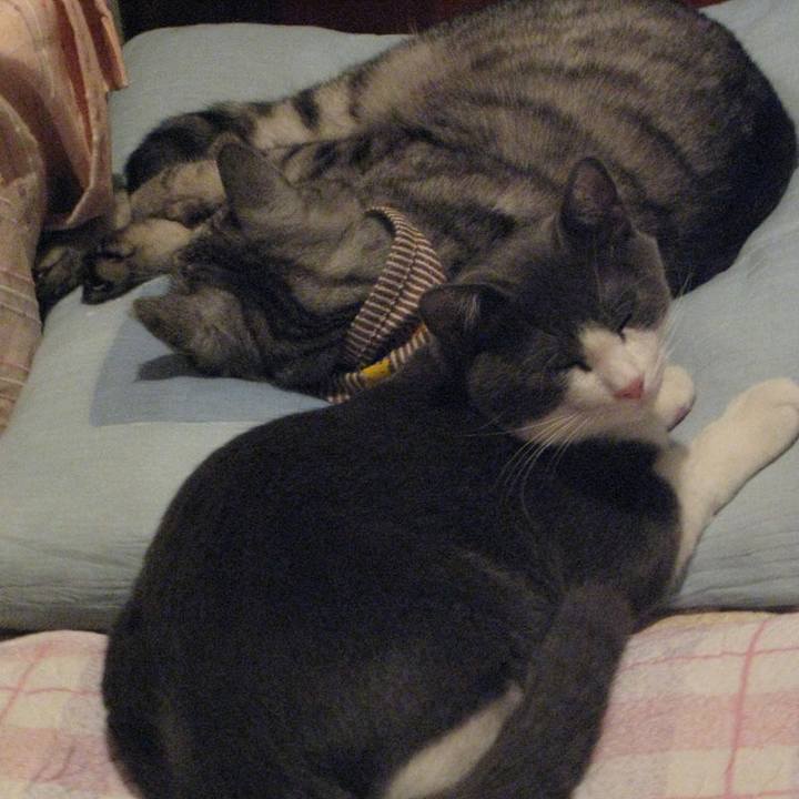 F8453eef 022c 4518 abf7 0ed82f2546f3